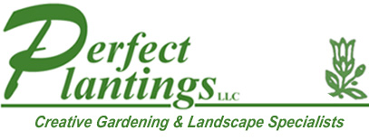 Welcome To Perfect Plantings!