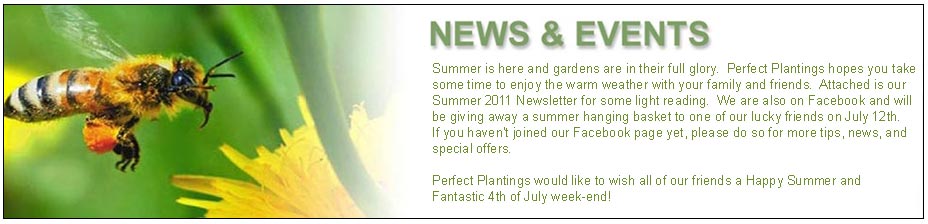 Email Us To Join Our Newsletter Group Today!