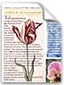 Our Spring 2011 Newsletter