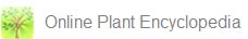 Click here to view the Plant Encyclopedia
