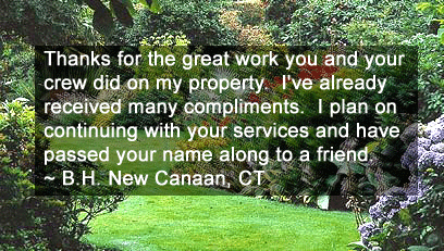 Perfect Plantings Testimonials